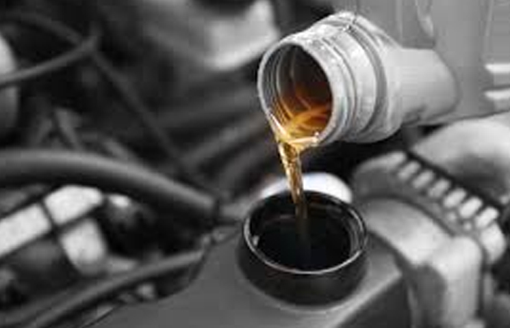 Dascher Family Auto Service Photo | Holiday, Florida