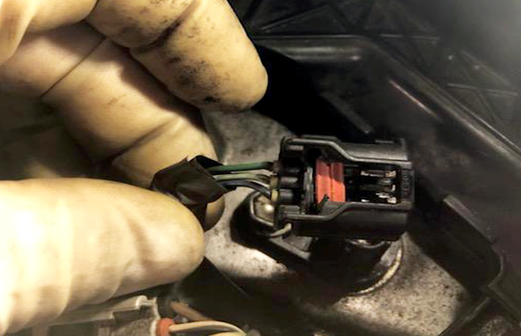 Dascher Family Auto Service Photo | Holiday, Florida